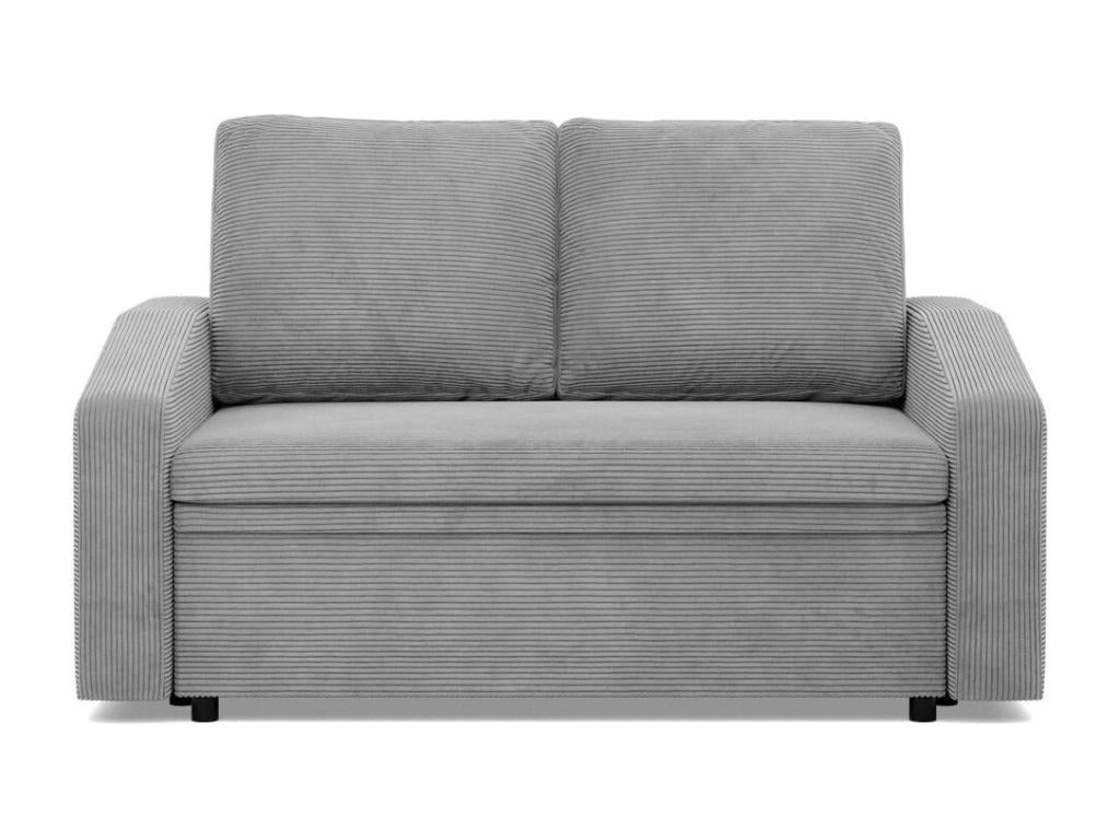 Gray Sofa