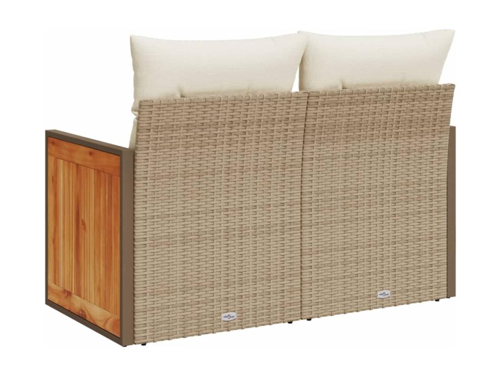 Beige Woven Resin Wicker Sofa